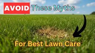 Lawn Care Myths Busted: Get the Perfect Green Lawn!