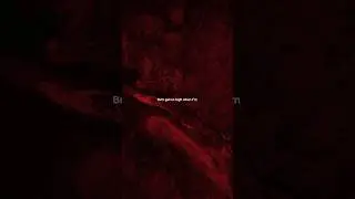 Animals - Maroon 5 | lyrics | aesthetic | whatsapp Status | English songs | slowed | #edit #animals