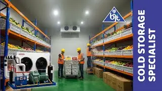SOLUSI COLD STORAGE CUSTOM TERPERCAYA #coldstorage #coldroomproject #servicecoldstorage