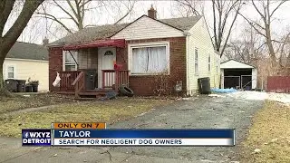 Search for negligent dog owners