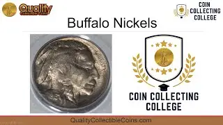Buffalo Nickels | Coin Collecting College | Quality Collectible Coins