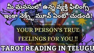 tarot card reading in telugu | 💯❤️ మీ మనసులో ఉన్న వ్యక్తి ఫీలింగ్స్ ఇంకా నెక్స్ట్ మూవ్ ఏంటో చుడండి!