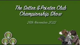The Setter & Pointer Club Championship Show 2022