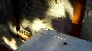 Glendale Trap Out Week 6: Vent Activity