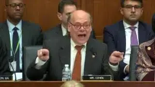 Red Line - Whitaker hearing