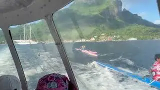Local wave riders with our tenders