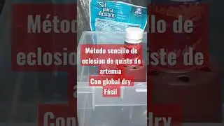 M&eacute;todo sencillo eclosion de quiste de Artemia salina Global Dry #artemia  #alimentovivo  #bettas