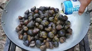 Field Snail in Beer | Delicious Fried Snail With Holy Basil