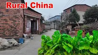 Shocking Truth of Rural Chengdu: 4K Walk Exposes Untouched Village Magic｜Chengdu Friendship Village