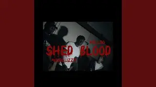 Shed Blood (feat. Hell30)