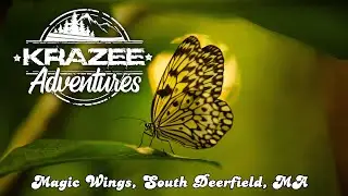 Krazee Adventures - Magic Wings, South Deerfield, MA