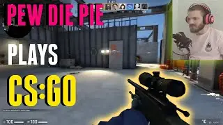 PEWDIEPIE Playing CS:GO In His Live Stream Highlights
