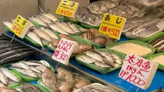 Takaichi's remarks drag Japan's fishing sector into renewed crisis