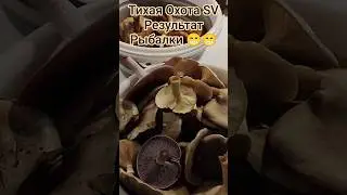 Результат Тихой Охоты на Рыбалке. 26.10.2025. #4k #video #активный отдых #грибалка #грибы #хобби