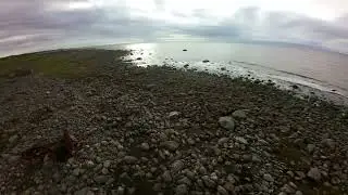 Vigrestad