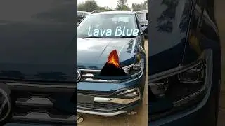 Taigun in Best Color? Topline 1.0 TSI | Top Variant
