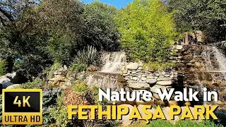 Walking Tour in &Uuml;sk&uuml;dar, Istanbul | Nature Walk in Fethipasha Park (Fethipaşa) | 4K UHD