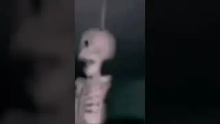Stan TikTok: ￼skeleton￼￼ singing no tear left to cry #StanTikTok