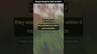blind following in islam sheikh muqbil