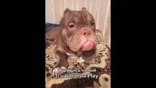 Ссылка в шапке профиля 💖 #shorts