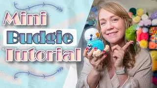 Crochet Mini Budgie Tutorial: So CUTE!