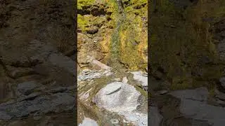 Cap-Bon-Ami(3)