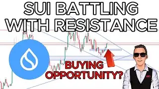 Sui Battling With Resistance - My Next Buying Opportunities