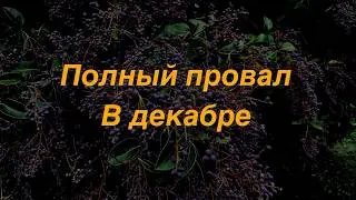 Как Я Выступала На Итальянском Конгрессе Для Врачей Узнав Об Этом За Две Недели До Выступления.