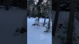 Campsite tour