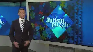 The Autism Puzzle: Part 2
