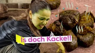 Kölns größte Kackhaufen 🐘💩 | KiKA LIVE City Clash