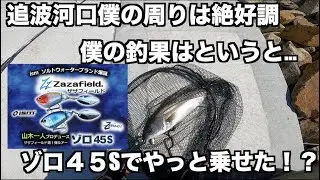 追波河口大賑わいでした！！そして僕の釣果はというと&hellip;　＃シーバス