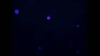 Puffin browser,пк браузер на андроид бесплатно.