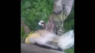 Brave jungle #bee hunters in epic honey #adventure