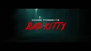Dodge | Bad Kitty