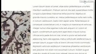 JQuery, toggle div horizontally
