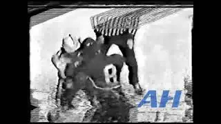 NHL Feb. 18, 1976 Dennis Polonich,DET v Garry Howatt,NYI Detroit Red Wings New York Islanders