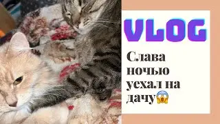 #влог Слава ночью уехал на дачу😱