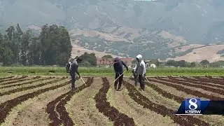 Organization helps farm workers become farm owners