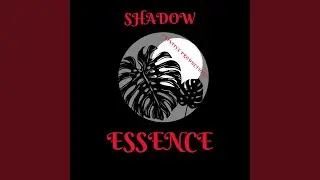 Shadow Essence