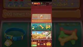 lucky dog 🐶 winning game