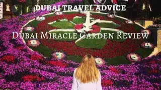 The Dubai Miracle Garden Review - Dubai Travel Advice