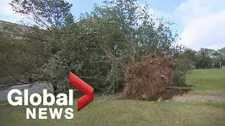 Hurricane Dorian: Atlantic Canada recovers day after storm covers most of region