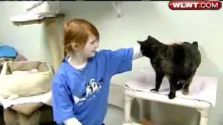 Local Girl Makes Difference For Animals In Need