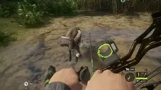 Hunter call of wild goat