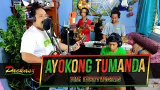 Packasz - Ayokong Tumanda reggae cover (Itchyworms)
