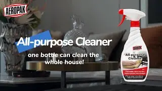Aeropak All Purpose Cleaner
