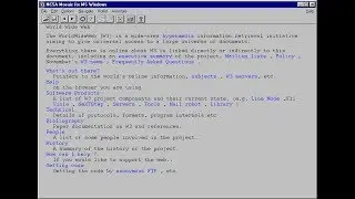 The world's first website in NCSA Mosaic