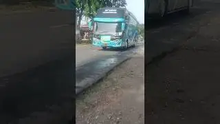 D'van 6not #shorts #busmania
