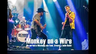 MONKEY ON A WIRE: Die perfekte Mischung aus Funk, Groove & Indie-Rock!